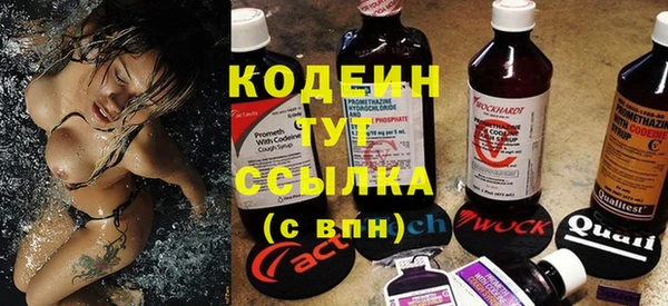 прущие крисы Медвежьегорск